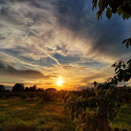Hotel La Fattoria Del Soul Bosco Marengo Zewnętrze zdjęcie